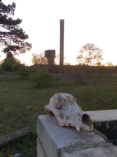 File:Hajmáskéri lőszergyár - Fehér halál - panoramio.jpg