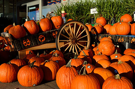 Pumpkins for sale during Halloween