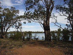 Lake Hattah