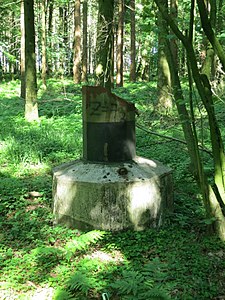 Reste im Heiligenstedtener Holz (Juni 2015)