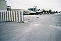 Friendly dog behind one of the marinas, which is also a Hernando County Sheriff's Sub-Station.