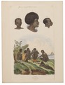 Homo sapiens - Ethiopië - 1700-1880 - Print - Iconographia Zoologica - Special Collections University of Amsterdam - UBA01 IZ19500009.tif