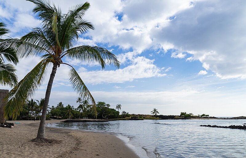 File:Honokohau bay beach Park Big island Hawaii (46226617312).jpg