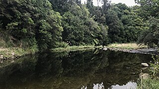 <span class="mw-page-title-main">Tokomaru River</span> River in New Zealand