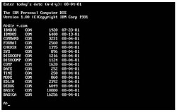 צילום מסך של MS-DOS