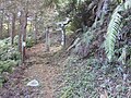 藤ヶ嶽神社・一の鳥居