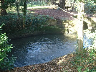The Ifield Brook