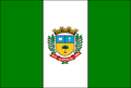 Bandeira de Ilópolis