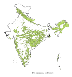 <span class="mw-page-title-main">Tropical evergreen forests of India</span>