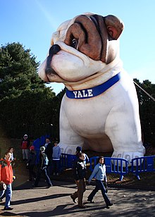 yale stuffed bulldog