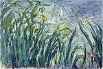 "Iris jaunes et mauves" (1924-1925) de Claude Monet - Musée Marmottan Monet (W 1837)