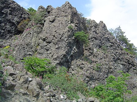 A pillow lava from an ophiolite sequence, Northern Apennines