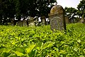 Jüdischer Friedhof in Dünsbach