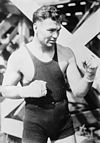 Jack Dempsey Jack Dempsey 3.jpg