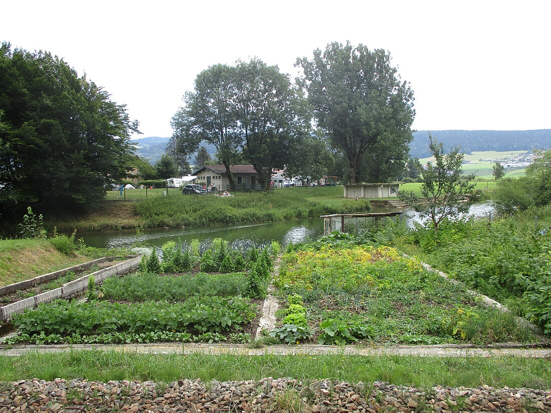 Jardin potager