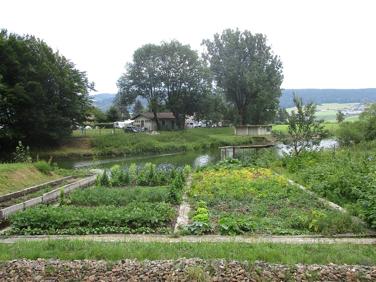 Jardin potager — Wikipédia