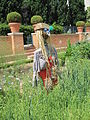 Jardin potager et épouvantail.