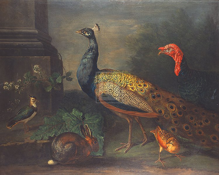 File:Johann Wenzel Peter - Truthahn, Pfau, Kiebitz, Kaninchen.jpg