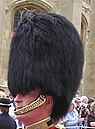 Bearskin cap Coldstream Guards United Kingdom