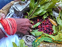 Kaphal (काफल) Myrica esculenta, meyveler Almora'da satılıyor.jpeg