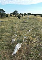 Skeppssättningen Noaks ark på Karums alvar, Öland.