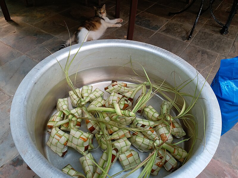 File:Ketupats prepared to be cooked.jpg