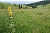 Kleines Tal an der Flanke des Seebucks (Small valley on the flanks of Seebuck) - geo-en.hlipp.de - 12581.jpg