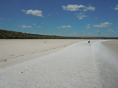 Dried up upper part of the Kuyalnik Estuary (SW Ukraine). Salt Desert