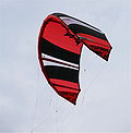 Thumbnail for Leading edge inflatable kite