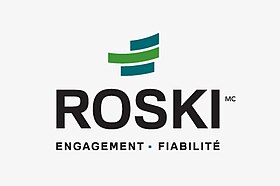 logotipo da roski