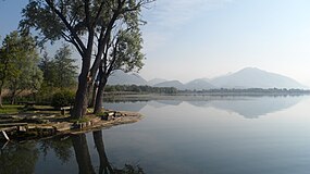 Lago di Alserio.jpg