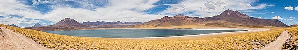 Panoramic view of the Miscanti lake, altiplano of the Antofagasta Region, northern Chile.