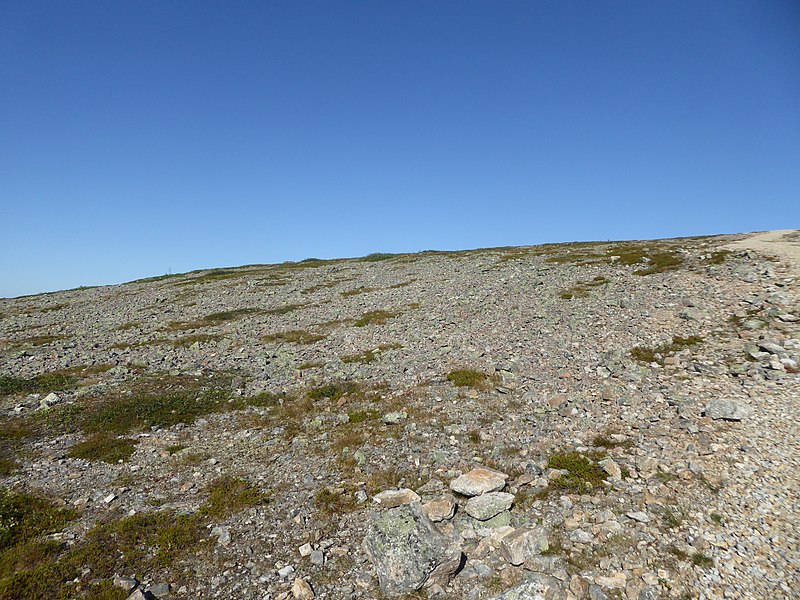 File:Lapland - Urho Kekkonen National Park - 20180728160147.jpg