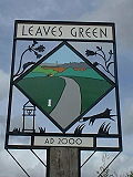 Thumbnail for Leaves Green