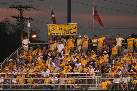 LSU fans enjoyed one final regional in Alex Box Stadium during the 2008 NCAA tournament.