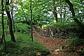 wikimedia_commons=File:Lilienstein (Sächsische Schweiz) Mauerreste der mittelalterlichen Burg (01-2).jpg