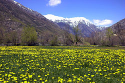 Vårlandskap i Cerdanya i Llívia.