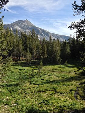 Vista dal Mammoth Peak nel giugno 2015.