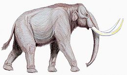 A sztyeppei mamut rekonstrukciója