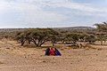 Massai Tribe Meeting