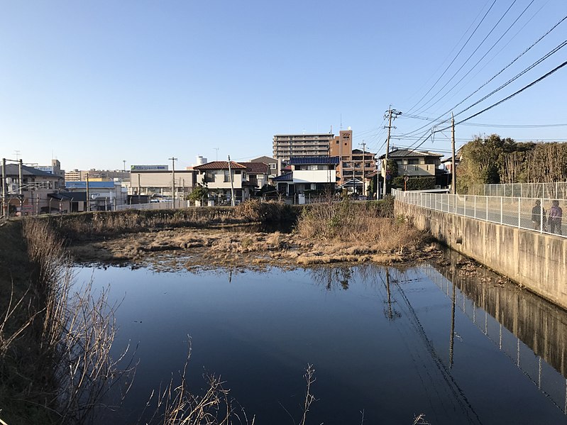 File:Matsubaraguchizutsumi Pond 20180310-2.jpg