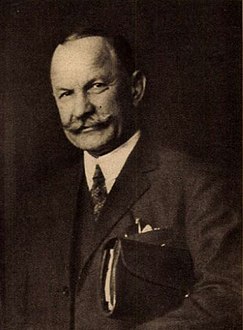 János Mayer Hungarian politician