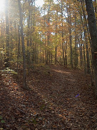 <span class="mw-page-title-main">Medoc Mountain State Park</span> State park in North Carolina, United States