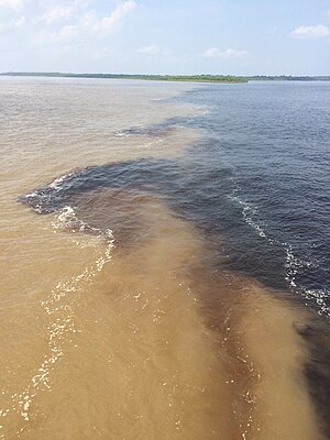 Amazonas: Länge, Name, Verlauf