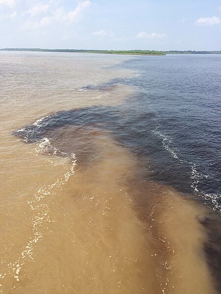 File:Meeting of the Waters - Amazonas.JPG