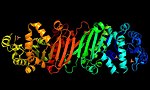 Thumbnail for Phosphoribulokinase