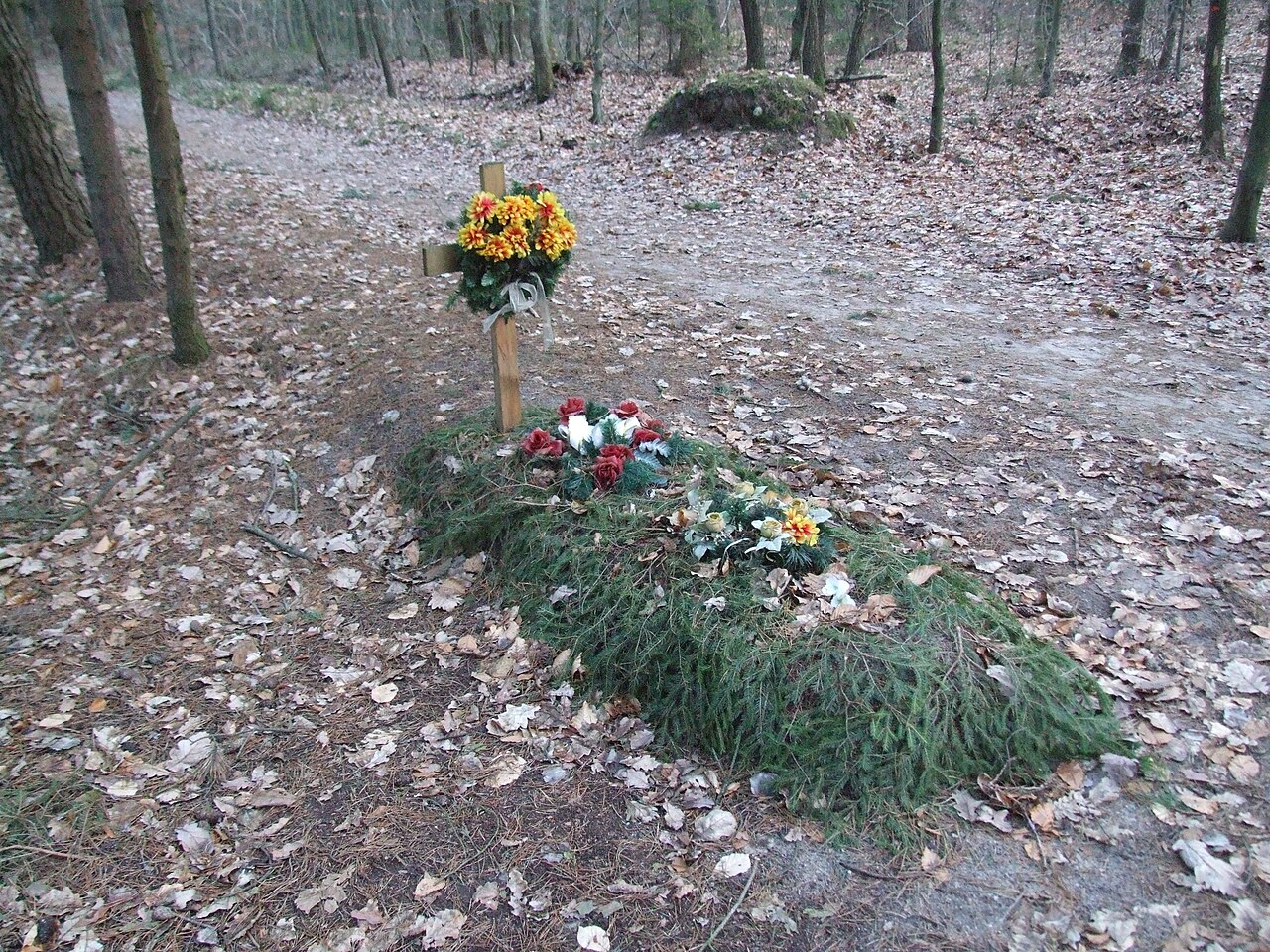 File Mogila Nieznanego Zolnierza W Lesie Na Dabrowie Kacze Buki 002 Jpg Wikimedia Commons