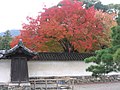 Daigoji (Kyoto)