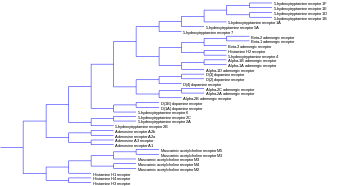 A phylogenetic tree showing how a number of monoamine receptors are related to each other. Monoamine receptor tree.svg