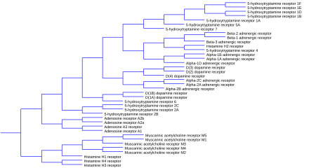 ไฟล์:Monoamine receptor tree.svg